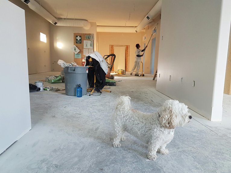 10 Essential Home Renovation Equipment to Get Started
